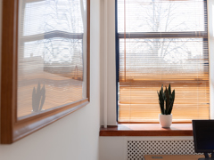 A small potted plant sits on a windowsill with blinds partially open. The plant’s reflection is visible in a large framed mirror on the adjacent wall, which features a sleek steel border reminiscent of fine engineering. Sunlight creates soft shadows in the bright room.