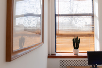 A potted snake plant sits on a windowsill next to a computer monitor in an office space at Caledonia Business Centre. Sunlight filters through the blinds, casting shadows, and the plant’s reflection appears in a large framed mirror on the wall.