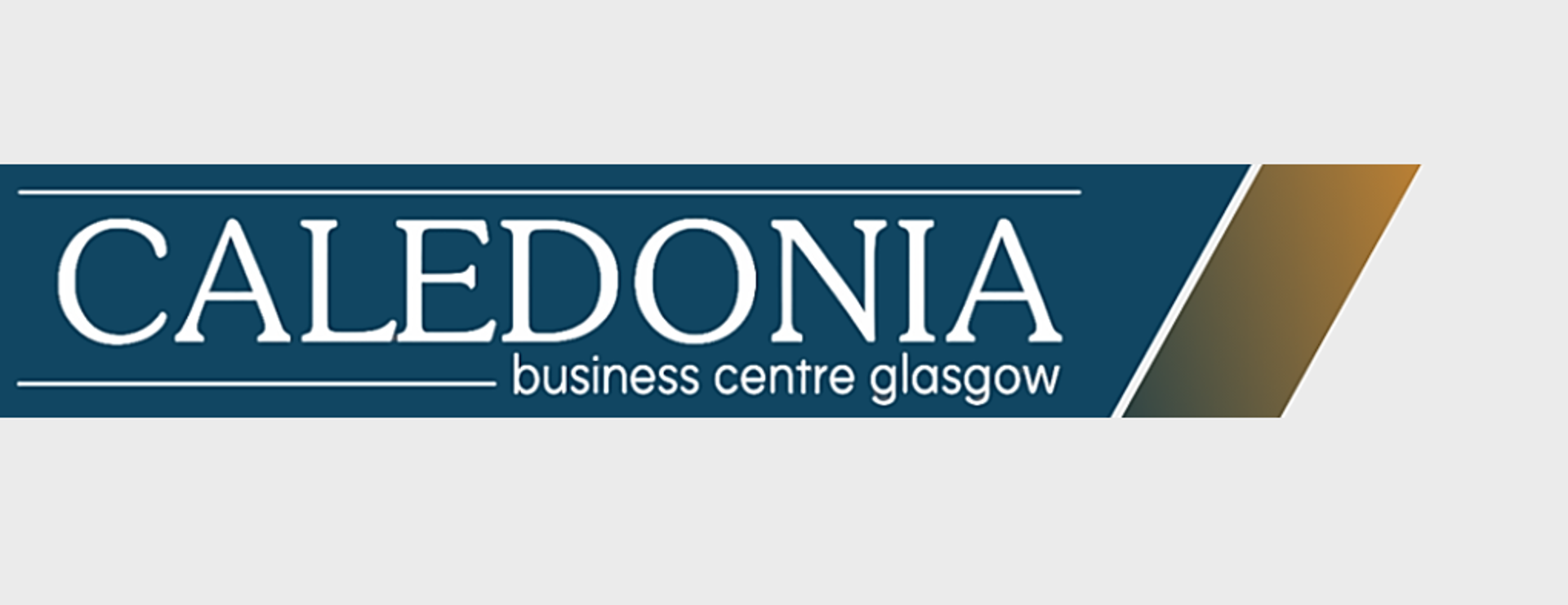 Banner Logo (3)