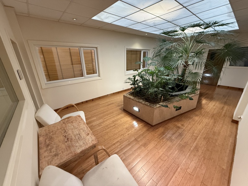 A bright hallway with wood flooring, featuring a large indoor planter with tall green plants, a wooden table crafted with manufacturing precision, and two white chairs. Windows line the beige walls, and ceiling lights provide ample illumination.
